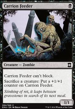 Carrion Feeder