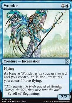 Wonder