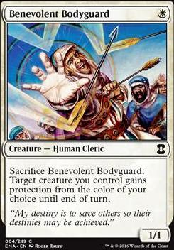 Benevolent Bodyguard
