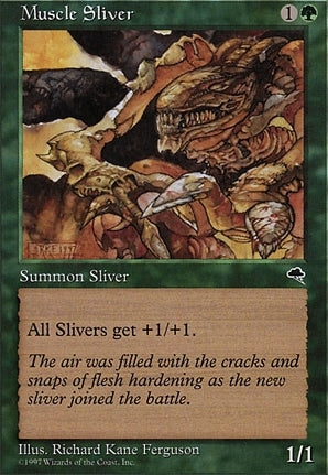 Muscle Sliver