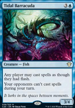 Tidal Barracuda